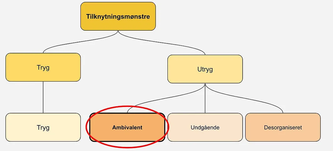 Utryg ambivalent tilknytning - Vigtigste kendetegn, 2024