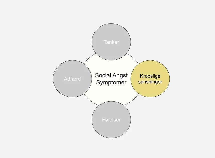 social angst symptomer - kropslige sansninger