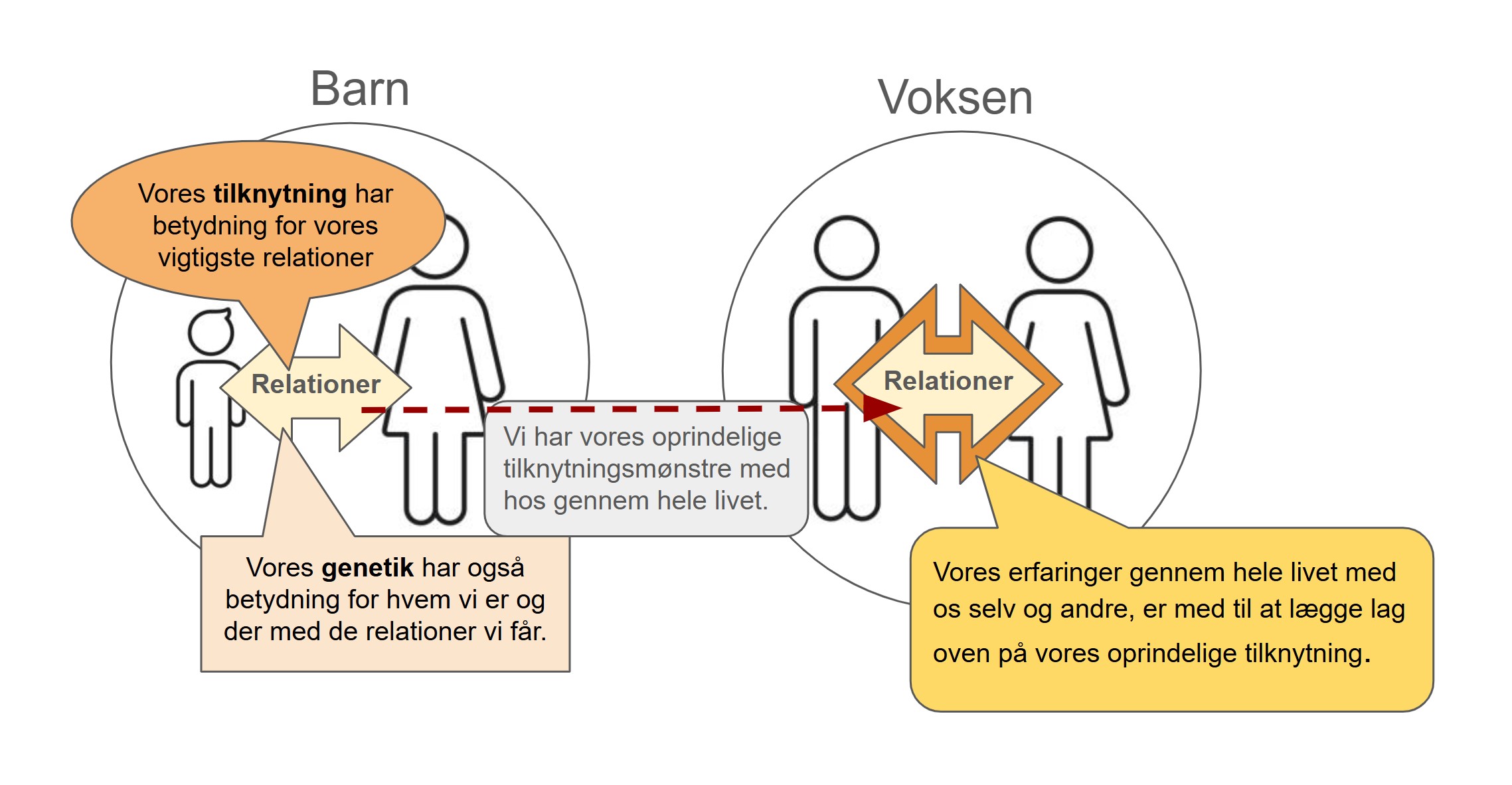 undvigende tilknytning barm - vi har vores tilknytning med gennem hele livet