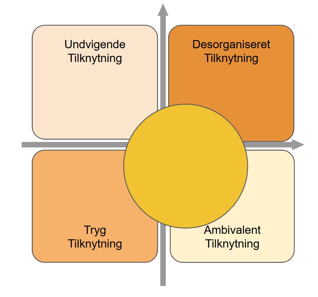 tilknytningsmønstre voksne - vi kan have lidt fra de forskellige tilknytningsmønstre