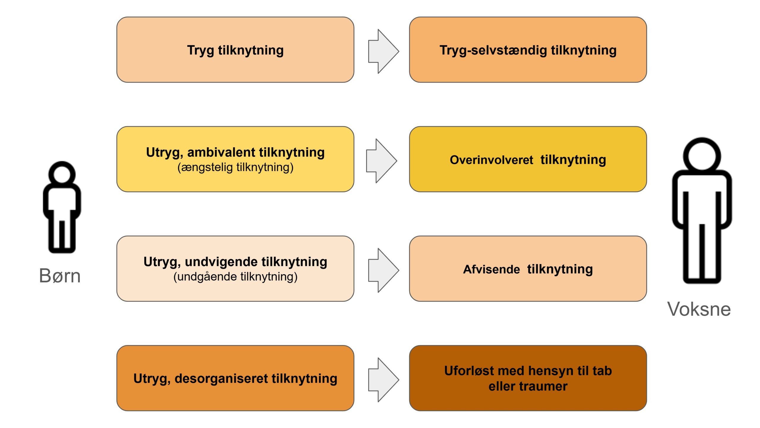 de 4 tilknytningsmønstre - tilknytningsmønstre hos børn og voksne