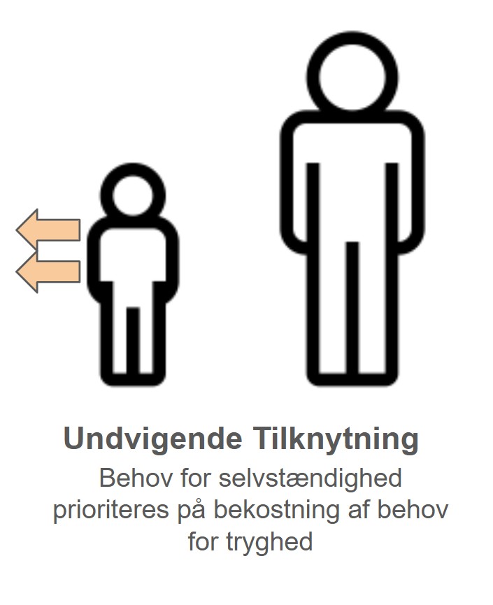 de 4 tilknytningsmønstre - undvigende tilknytning