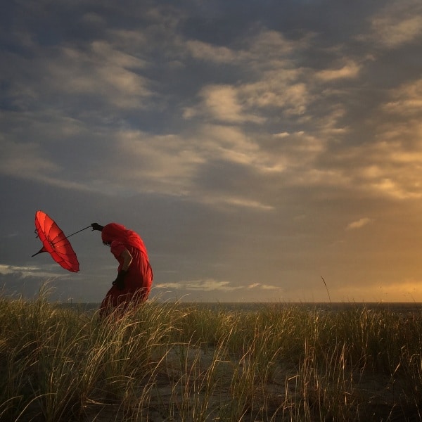 Robin Robertis, "She bends with the wind"