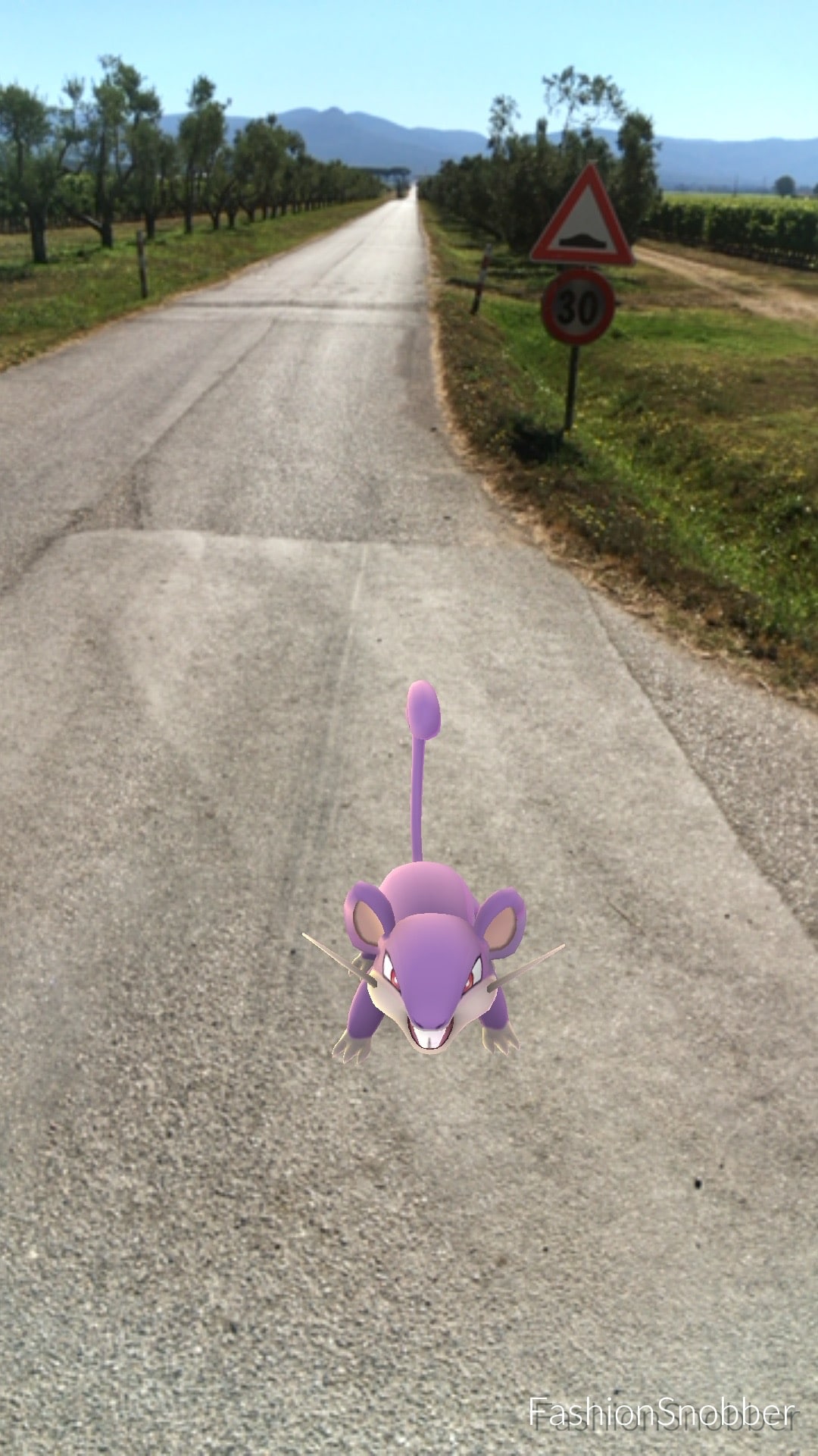 Rattata Pokémon Go.