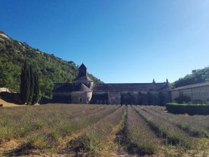 L'Abbazia di Senanque, in Provenza