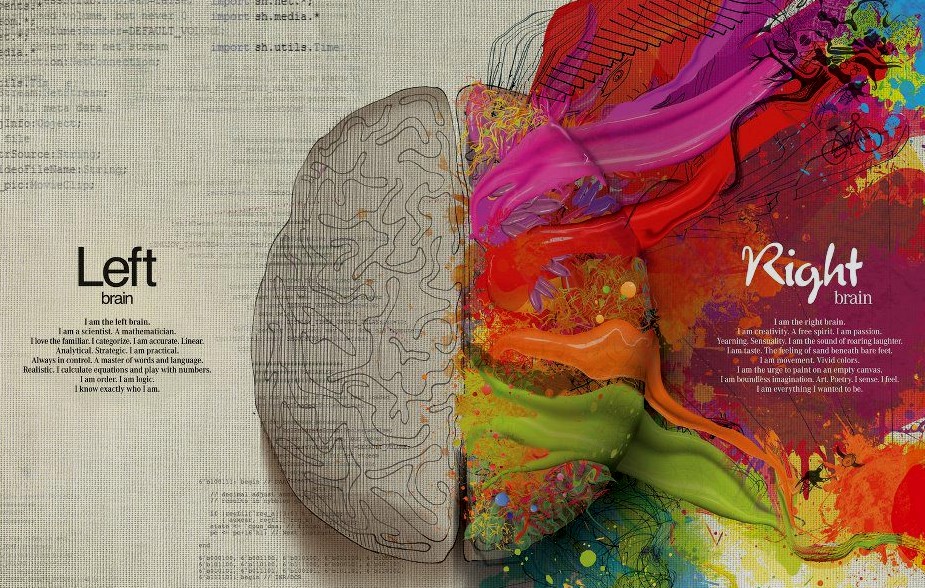 La divisione del "pensiero" tra i due emisferi del cervello