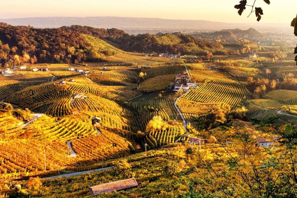 Paesaggio collinare della Valdobbiadene