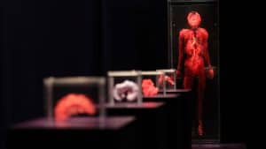 Mostra Real Bodies Milano