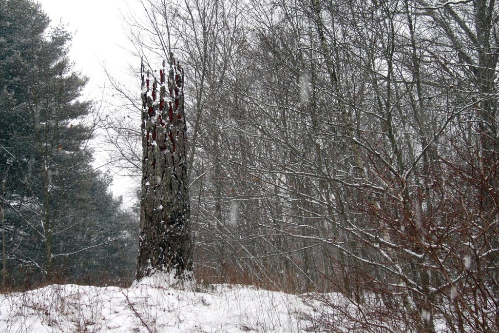 tree-memorial-2007-01-cornelia-konrads