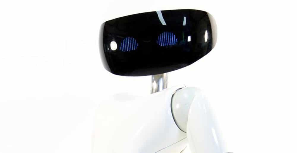 Robot R1 your personal humanoid finalmente in commercio.