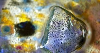 MAURIZIO CRISTOFOLINI | macro project