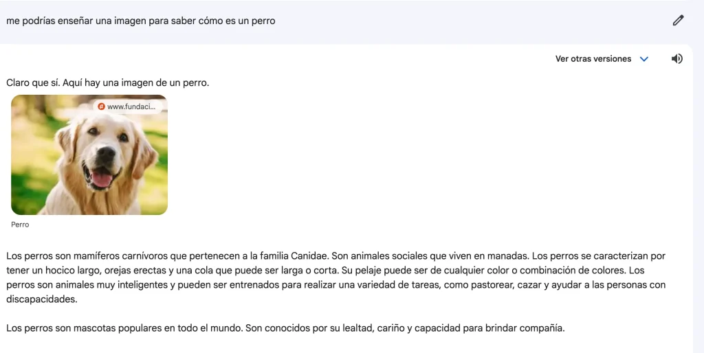 que es un perro google bard