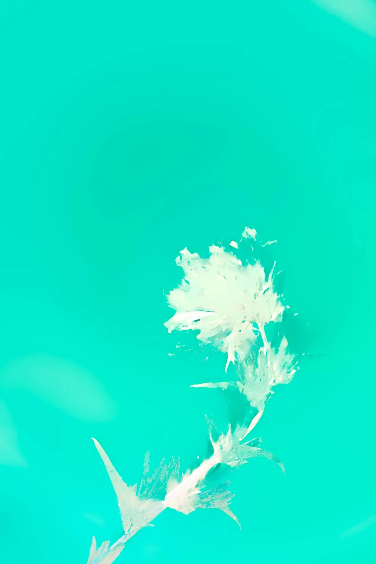 HERRAMIENTAS WATERMARK IA