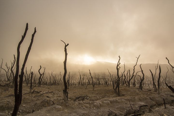 Klimatmötet i Dubai. Stor seger för fossilkapitalet ( högst 0,001 av mänskligheten)