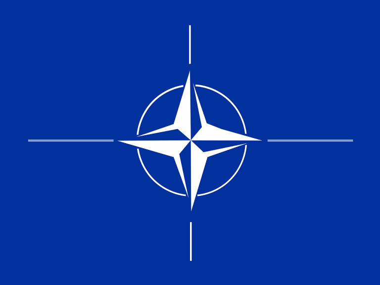 Nato: En olaglig organisation med allvarliga psykologiska problem.