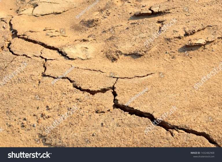 Vad tycker Indien och Kina i klimatfrågan?