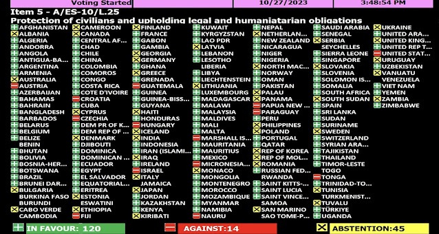 FN:s generalförsamling antog igår  en viktig resolution om Gazakrisen