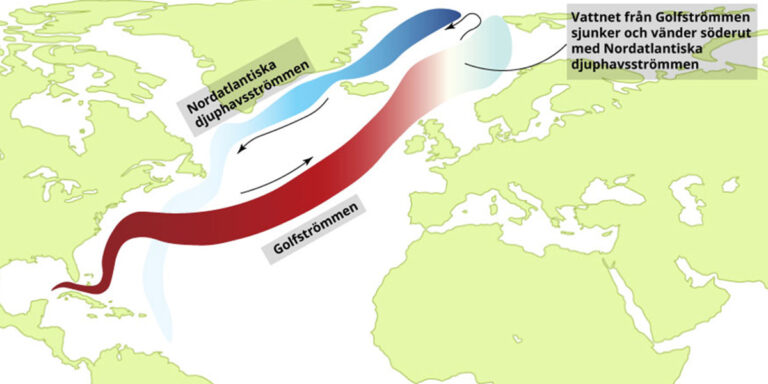 Kan kylan i vinter förklaras av Golfströmmens begynnande kollaps och katastrof?