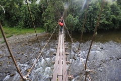 De lyse klipper, the Pinnacles, ligger sammen med mange huleret godt stykke inde i regnskoven på Borneo - omgivet af vild og spændende natur.Ulla Lund krydser Melinau River på hjemturen fra Camp 5.