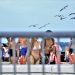 Get cheap flights for spring break 6 Spring break deals