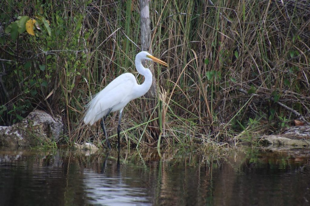 Everglades National Park