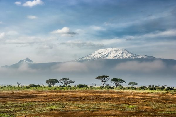 Rejser til Amboseli National Park