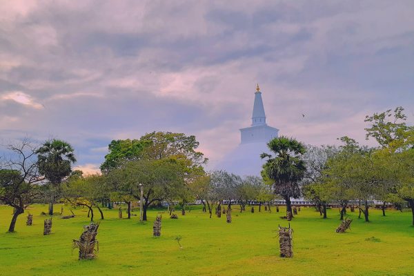 Rejser til Anuradhapura