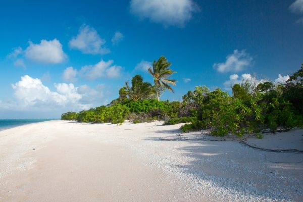 Rejser til Bikini Atoll