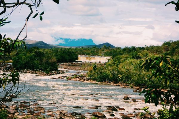 Rejser til Ciudad Bolívar