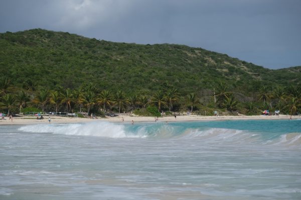 Rejser til Culebra