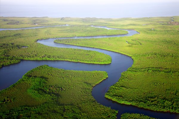 Rejser til Gambia