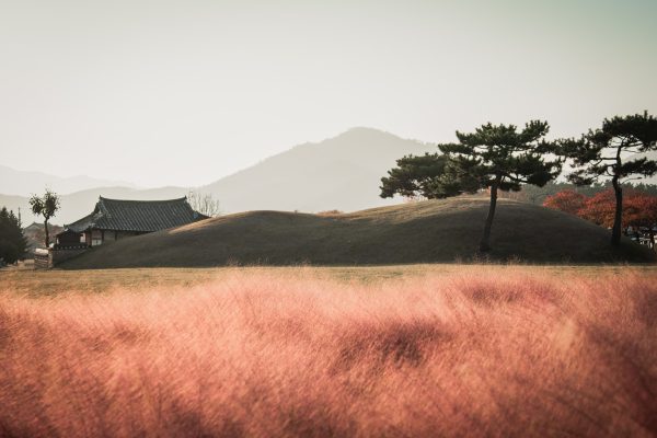 Rejser til Gyeongju