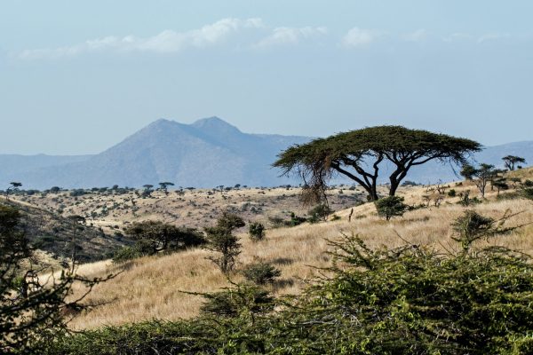 Rejser til Kenya