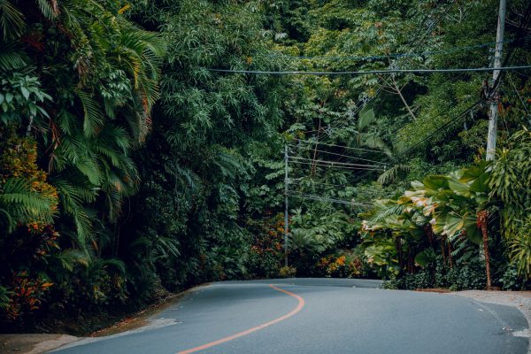 Rejser til Manuel Antonio National Park