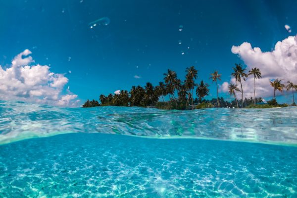 Rejser til Nuku’alofa Rejser til Nuku'alofa