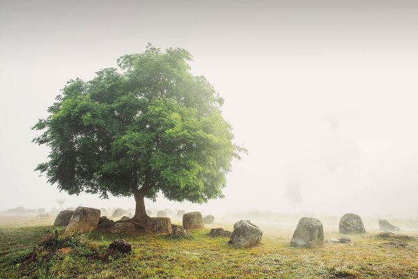 Rejser til Plain of Jars