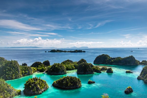 Rejser til Raja Ampat