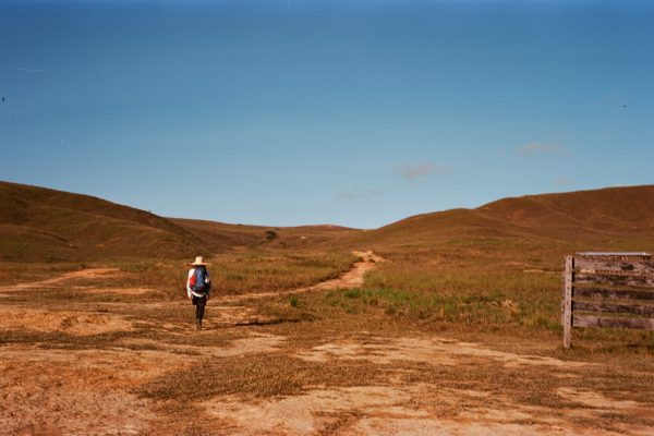 Rejser til Roraima-fjeldene