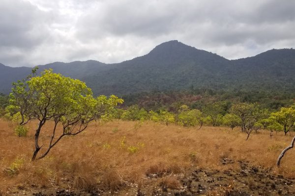 Rejser til Rupununi