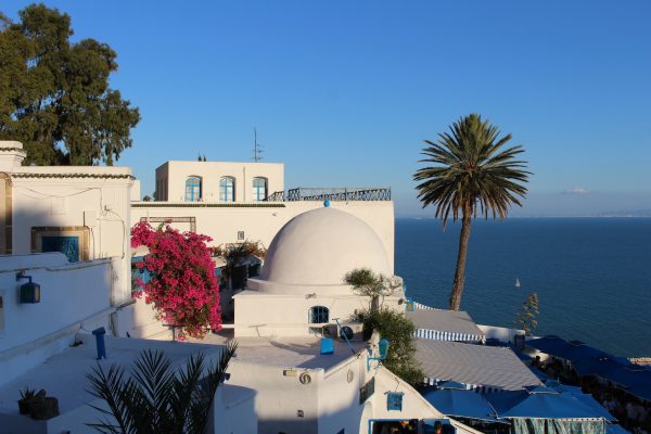 Rejser til Sidi Bou Said