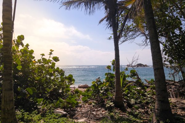 Rejser til Tayrona Nationalpark Rejser til Tayrona Nationalpark