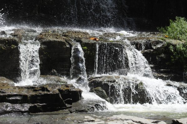 Rejser til Yasuni Nationalpark