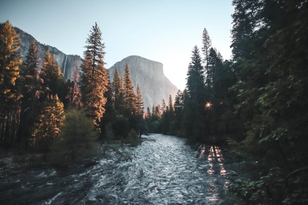 Rejser til Yosemite National Park