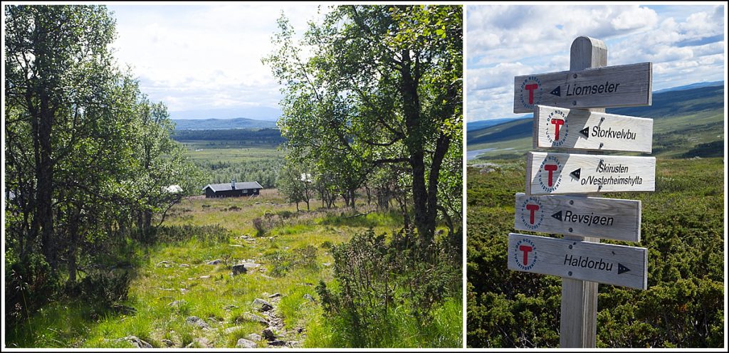 Langsua nasjonalpark Huldreheimen, Haldorbu DNT hytte