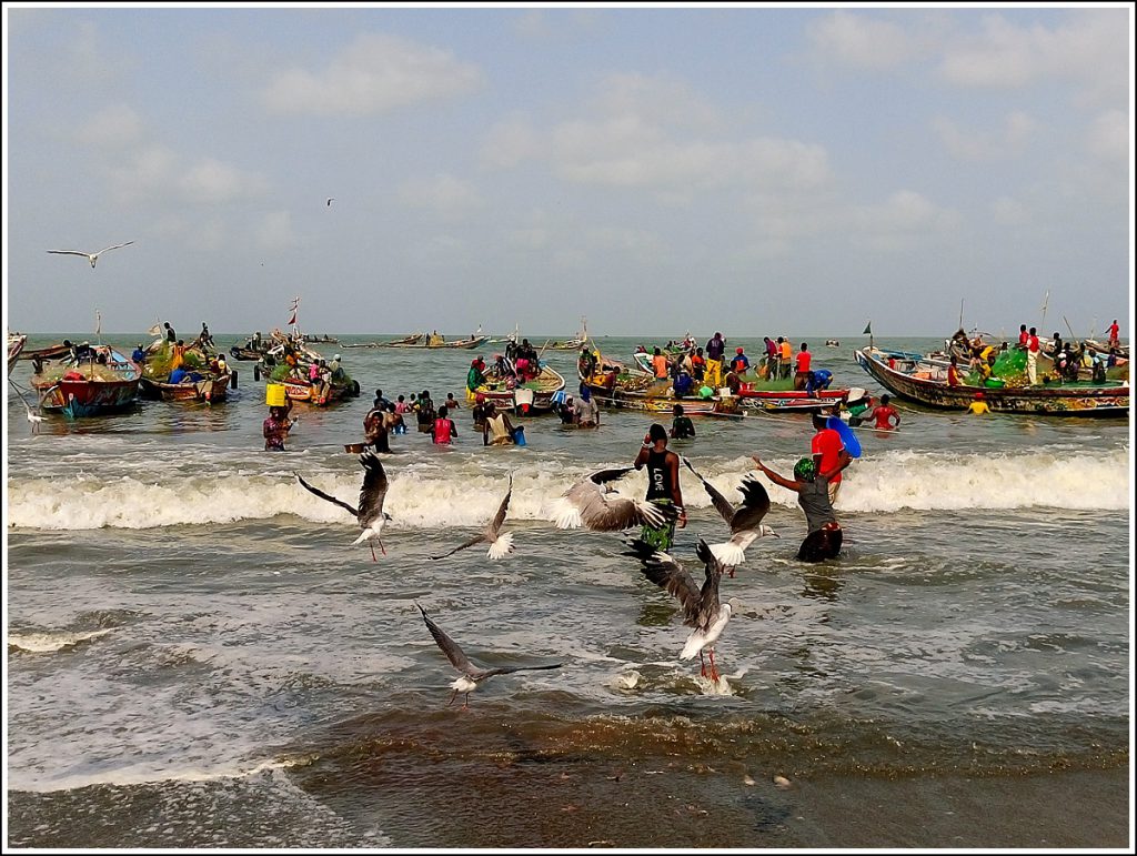 Tanji fishmarket