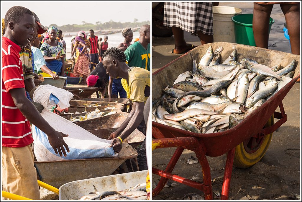 Tanji fiskemarked i Gambia