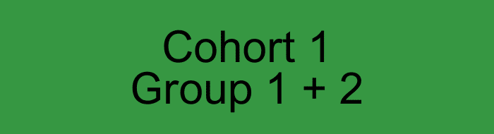 Cohort 1 Supervision: Group 1 + 2