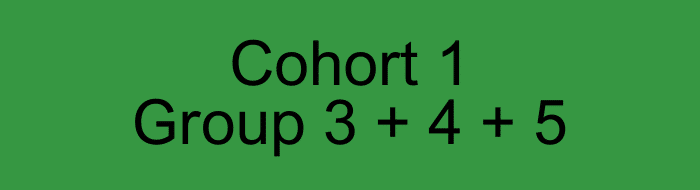 Cohort 1 Supervision: Group 3 + 4 + 5