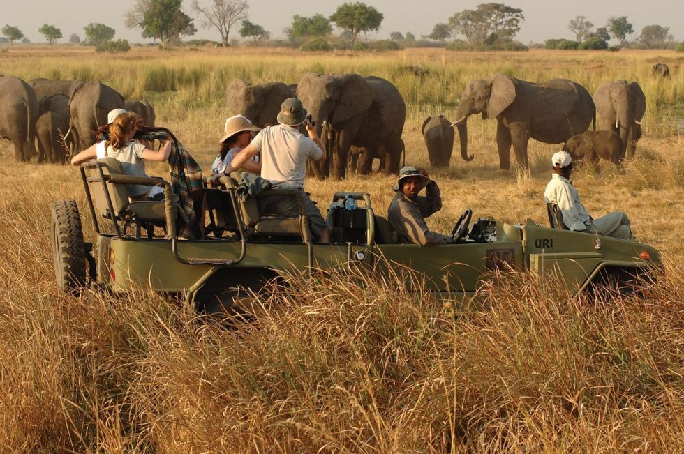 Game-Drive-Kidepo