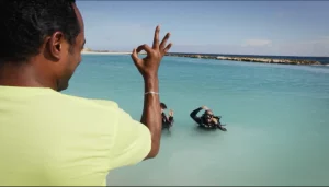 The Brazilian TV Rede Globo show called ‘’Como Será?’’ came to Curaçao to film our paradise and unravel the mysteries of our underwater world. Check it out and come visit us, we will show you the best diving spots and our beautiful reefs info@goby-divers.com http://redeglobo.globo.com/como-sera/videos/t/hoje-e-dia-de-/v/hoje-e-dia-de-mergulhar/4621611/